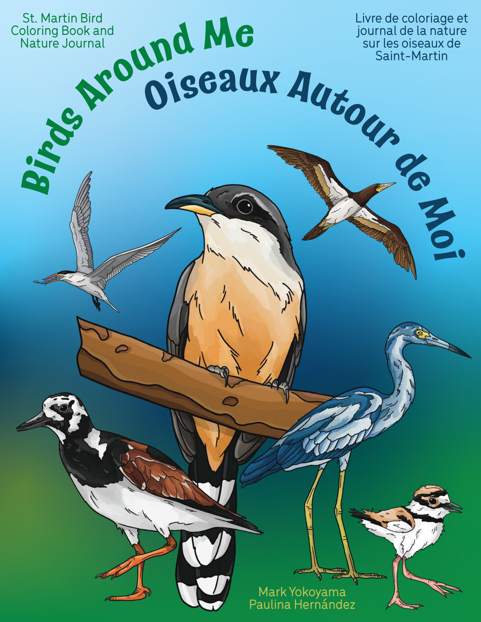 Drawing book, Migratory Bird Festival at Amuseum Naturalis
