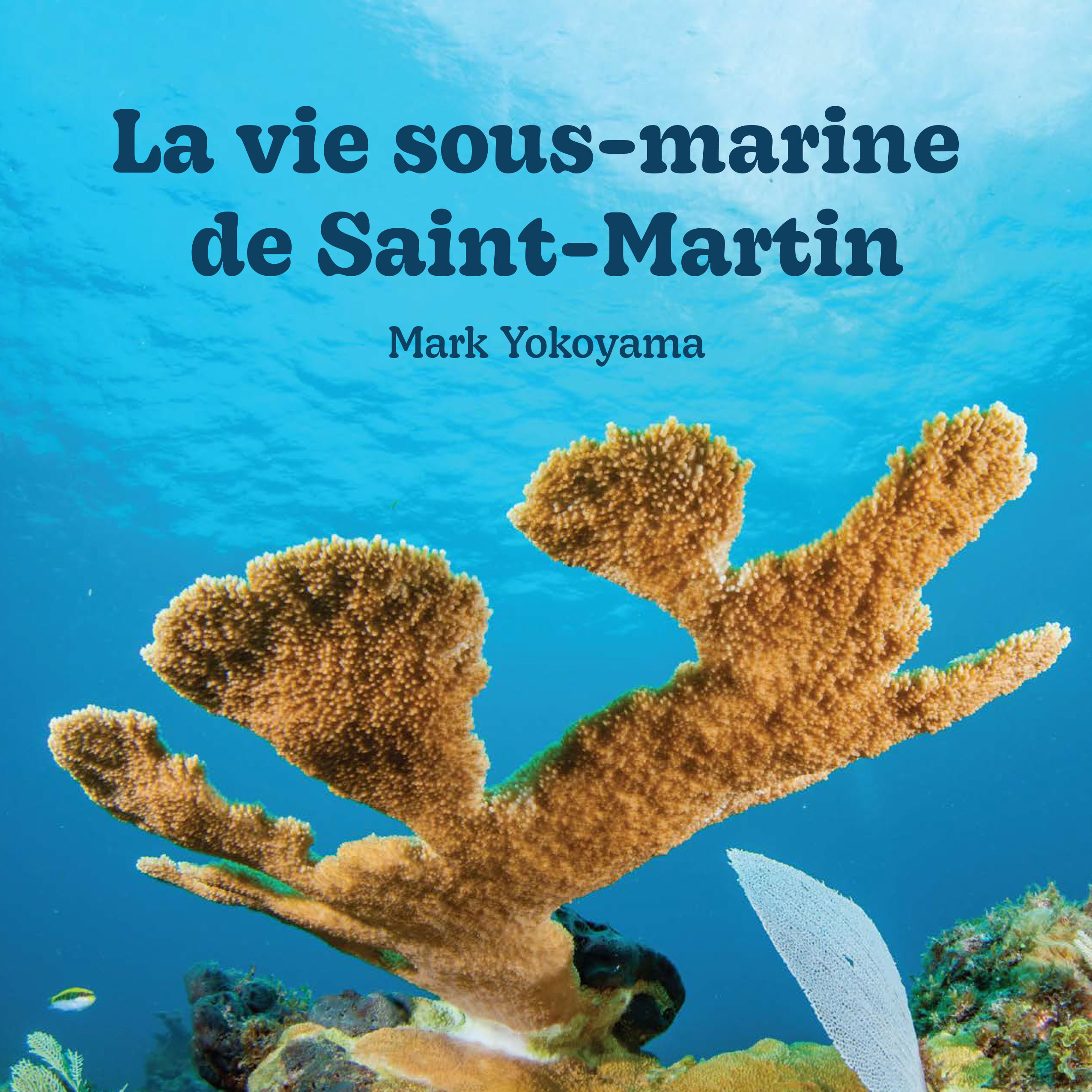 Book Launch Sea life on St. Martin