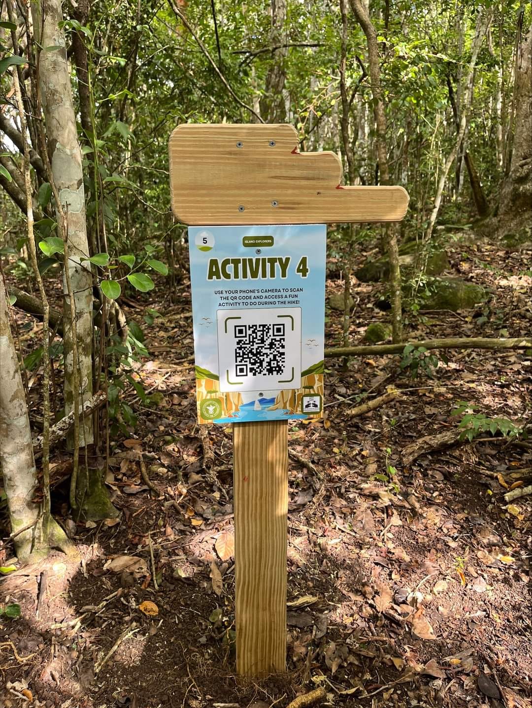 Board in the forest on a hike route