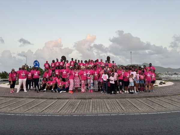 PJIA team posing with pink t-shirts for the Princess Walk