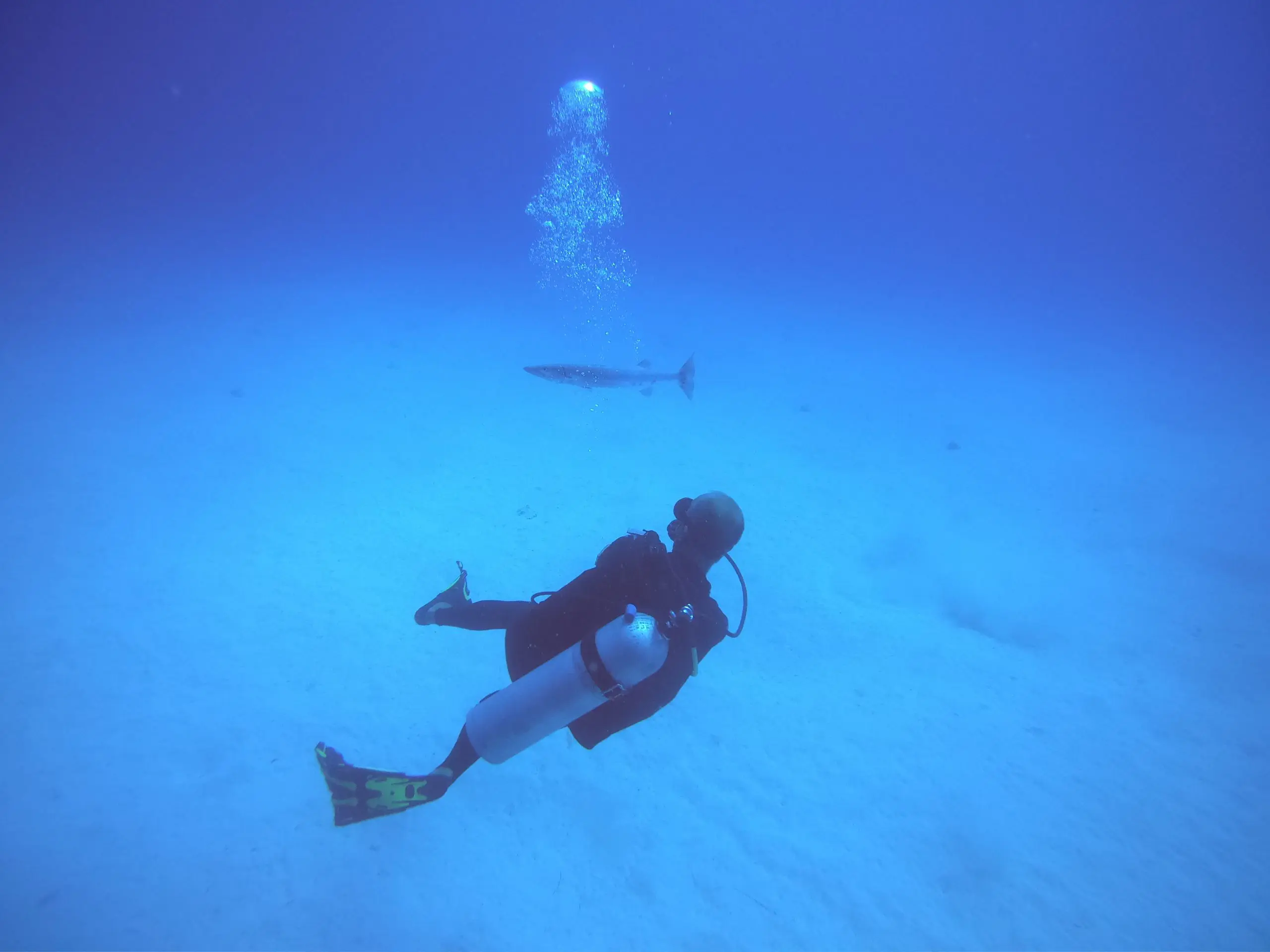 A diver in the deep waters of St Barths