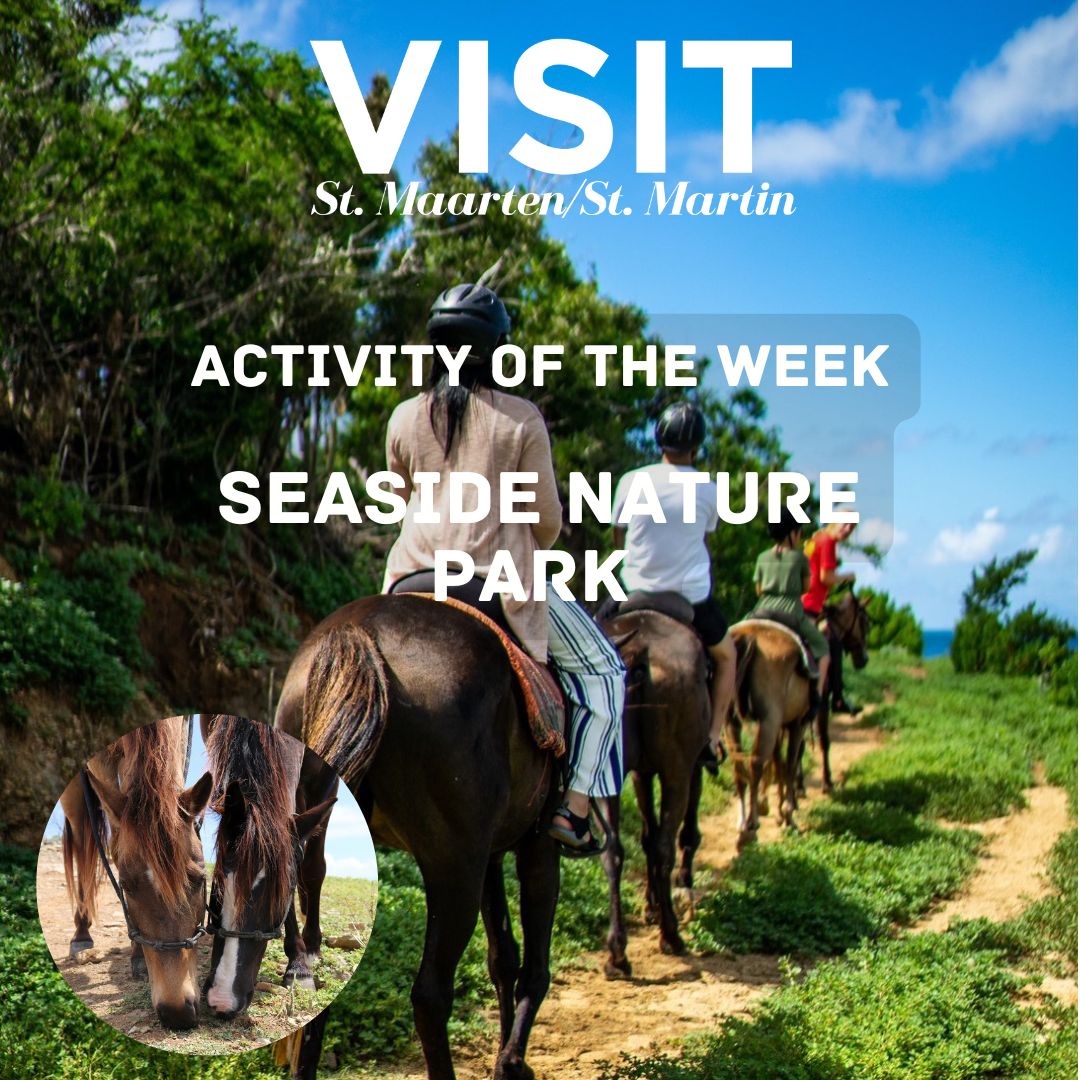 Seaside Nature Park activity