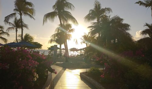 A beautiful sunset in the garden of the Royal Islander La Plage Resort