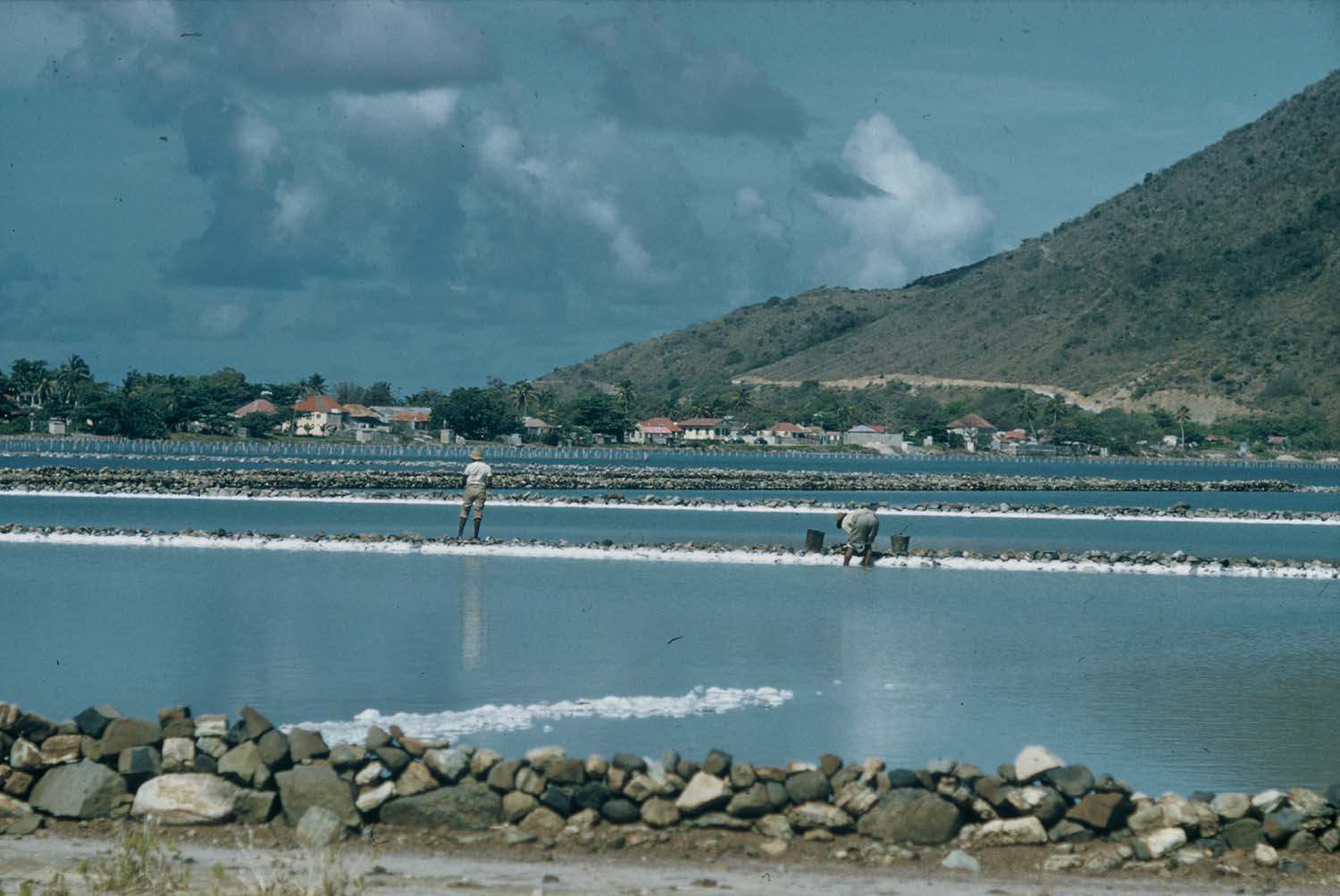 Old Picture of the Salt Pond