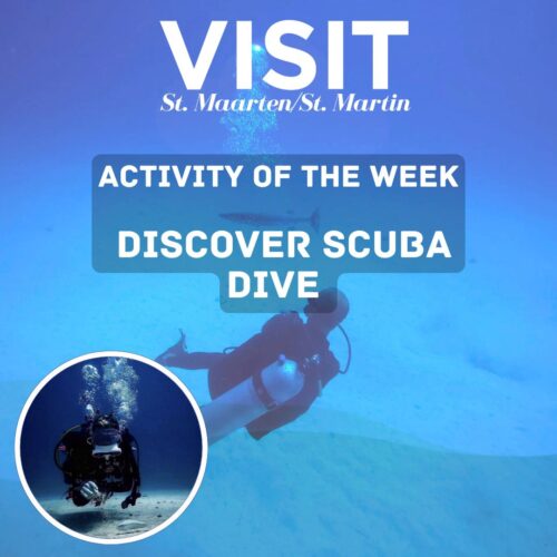 Discover Scuba dive activity of the week