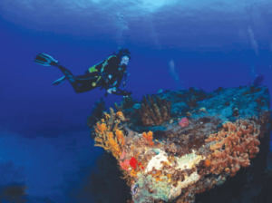 A diver in the beautiful waters of Statia