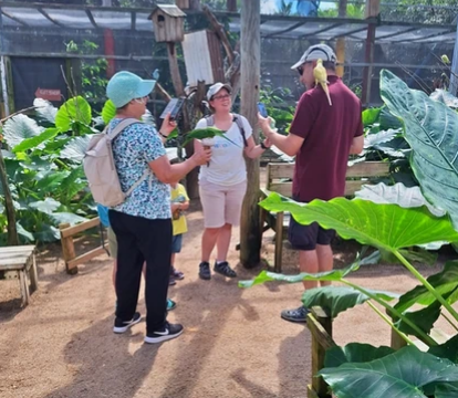 Twin Island Nature Discovery Tour