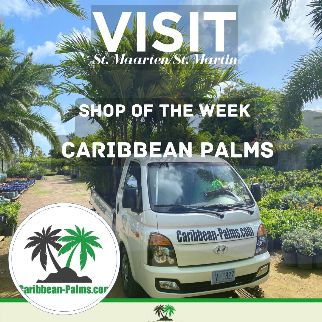 caribben palms shop